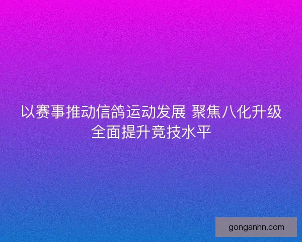 以赛事推动信鸽运动发展 聚焦八化升级全面提升竞技水平